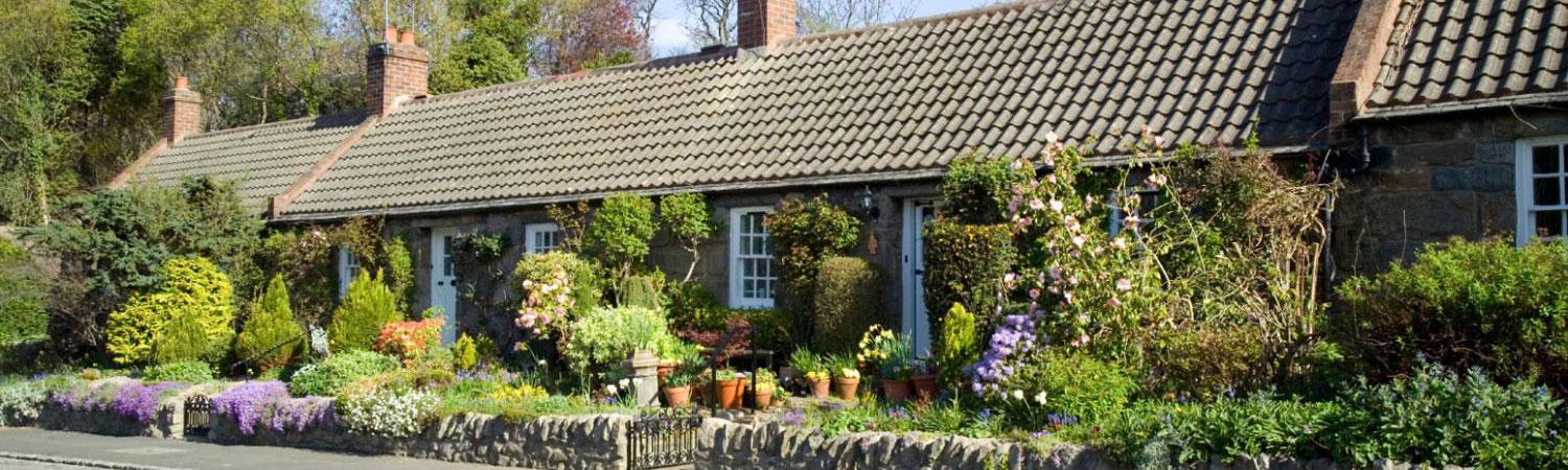 Rural Cottage